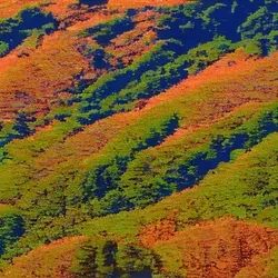 Reconstructing Realities