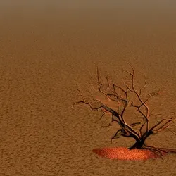 Burned Bush