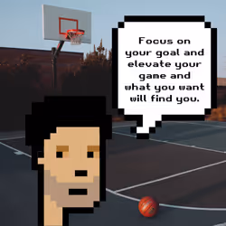 81