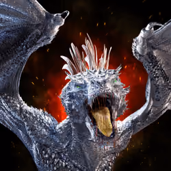 Prime Dragon 4081