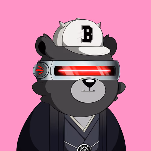 Cosmic Bear #71