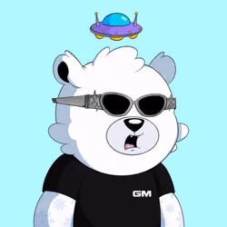 Cosmic Bear #551