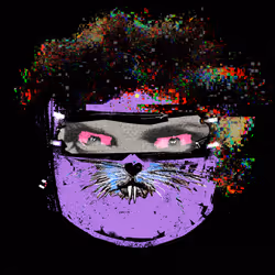 88