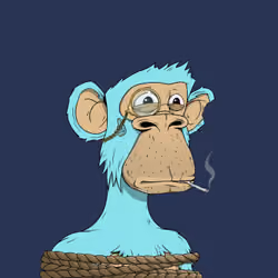 PirateApe #1946