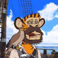 PirateApe #4541