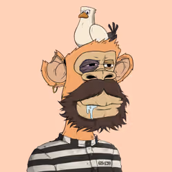 PirateApe #4303