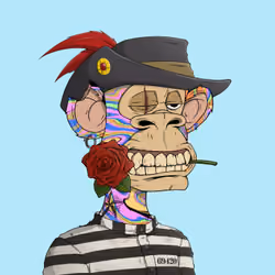 PirateApe #3264