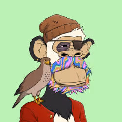 PirateApe #3082