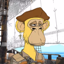 PirateApe #2020