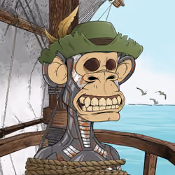PirateApe #5172