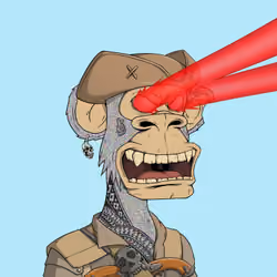 PirateApe #4847