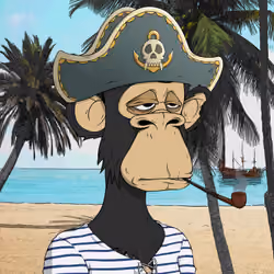 PirateApe #5046