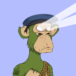 PirateApe #858