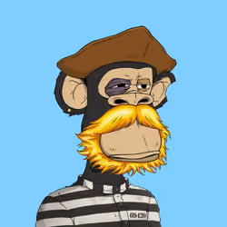 PirateApe #240
