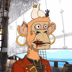 PirateApe #707