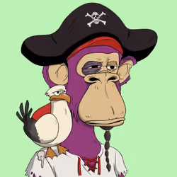 PirateApe #63