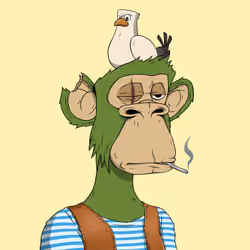 PirateApe #4174