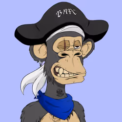 PirateApe #258