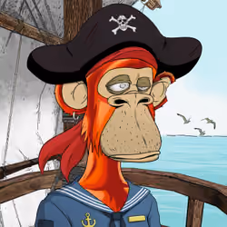 PirateApe #5034