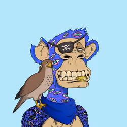 PirateApe #1876