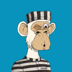 PirateApe #4768