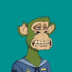 PirateApe #1243