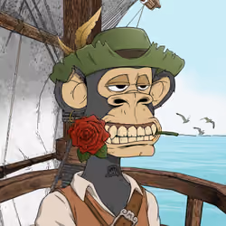 PirateApe #4344