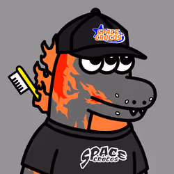 SPACE CROCOS#3543