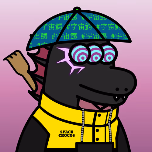 SPACE CROCOS#4017