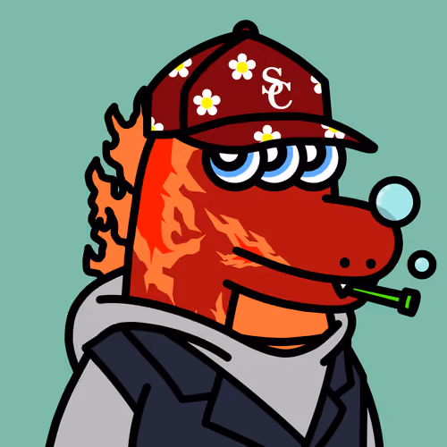 SPACE CROCOS#4706