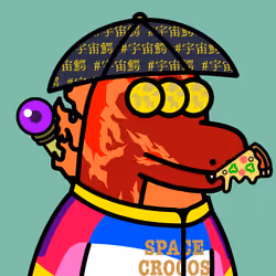 SPACE CROCOS#4363