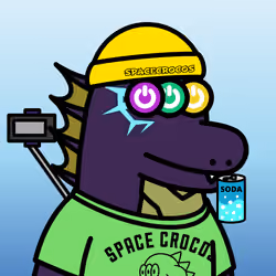 SPACE CROCOS#6924
