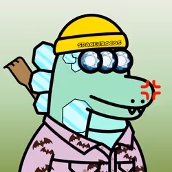 SPACE CROCOS#3819