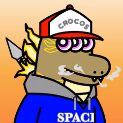 SPACE CROCOS#8030