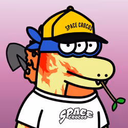 SPACE CROCOS#6726