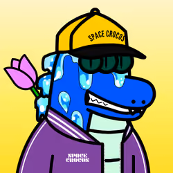 SPACE CROCOS#4574