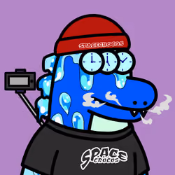 SPACE CROCOS#6312