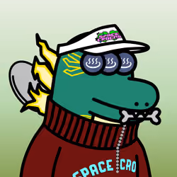 SPACE CROCOS#5872