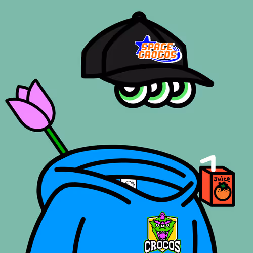 SPACE CROCOS#9698