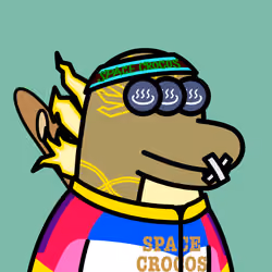 SPACE CROCOS#4906