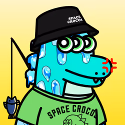 SPACE CROCOS#6585