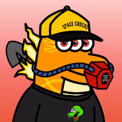 SPACE CROCOS#4544