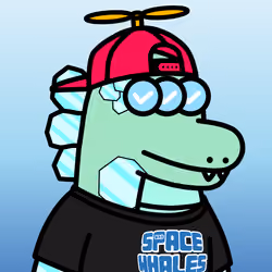 SPACE CROCOS#5361