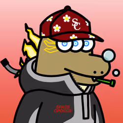 SPACE CROCOS#8892