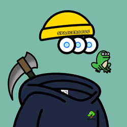 SPACE CROCOS#9948