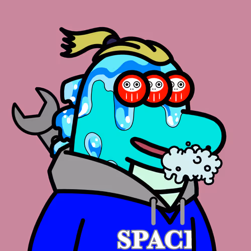 SPACE CROCOS#2717