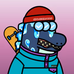 SPACE CROCOS#6776