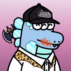 SPACE CROCOS#2528