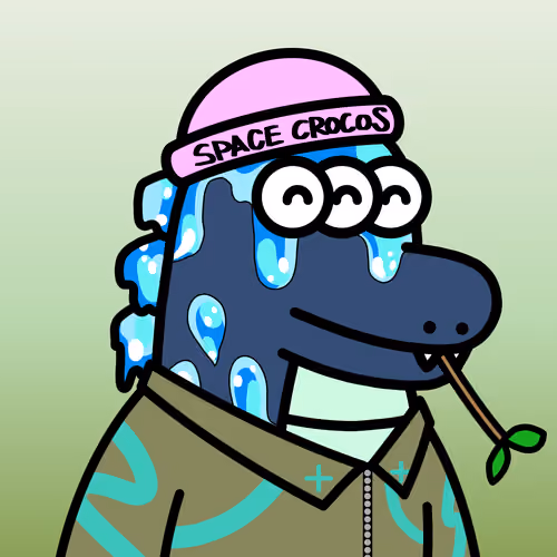 SPACE CROCOS#5654