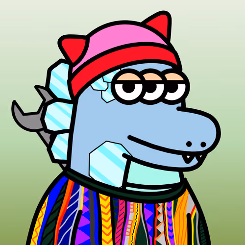 SPACE CROCOS#5563